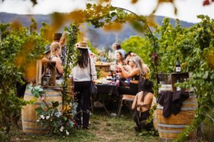 News: Wine Machine Announces Dates & Venues for 2020 Harvest! 🍇